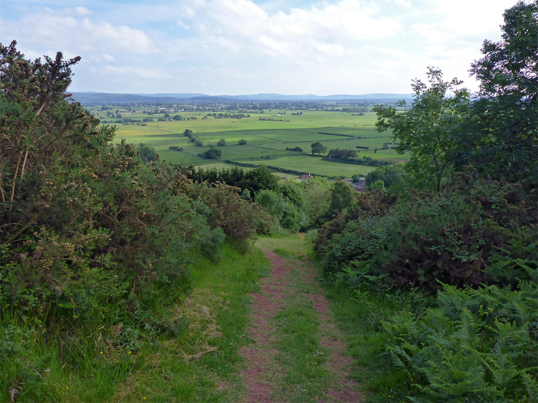 Track to the camp