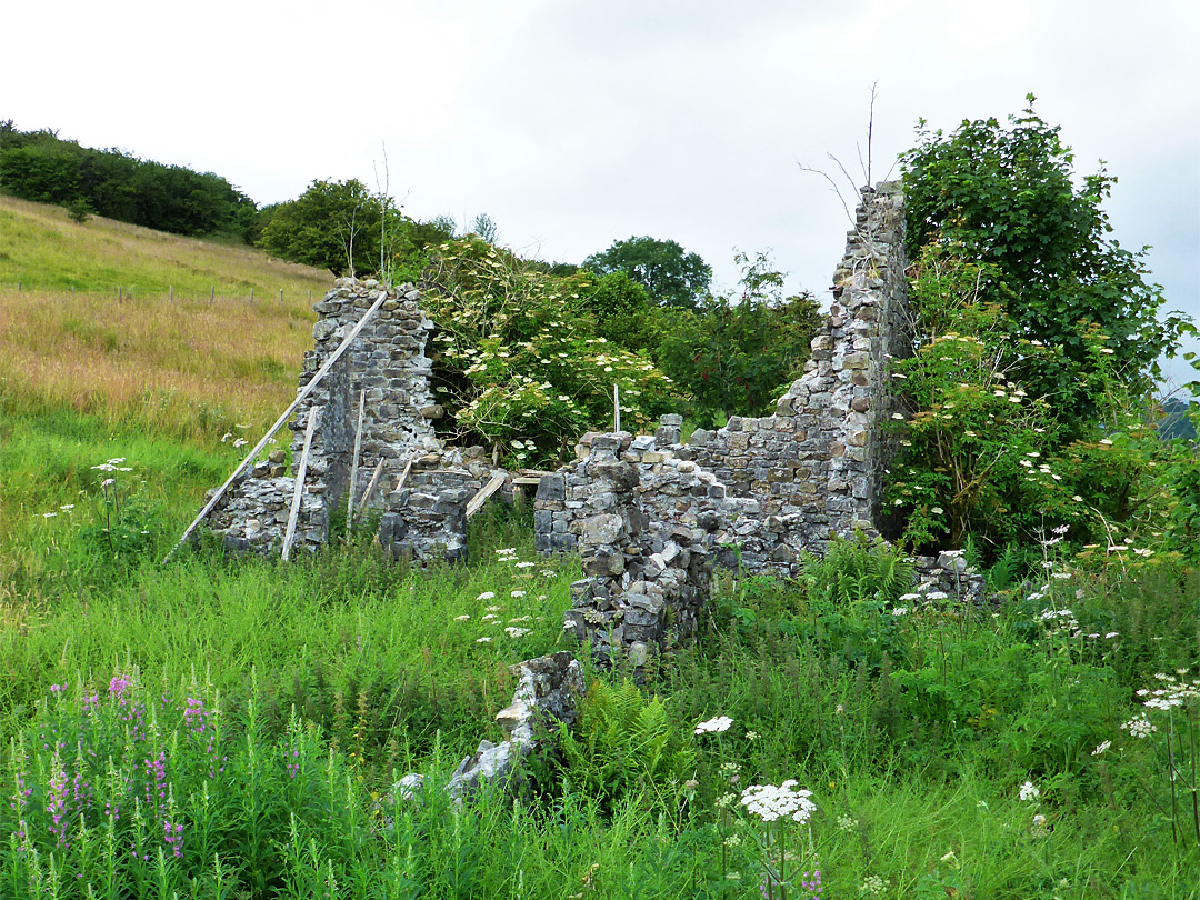 Farm ruins