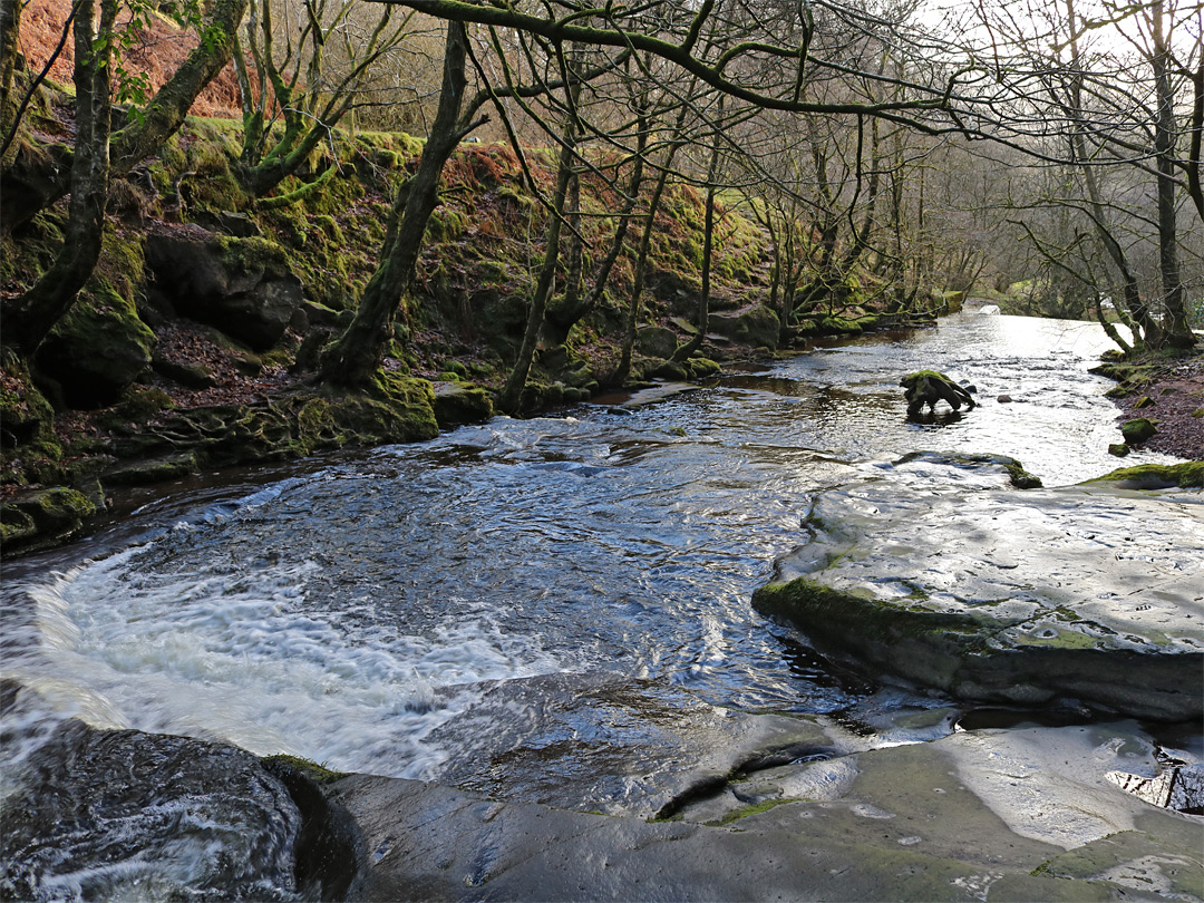 Flat section of the river