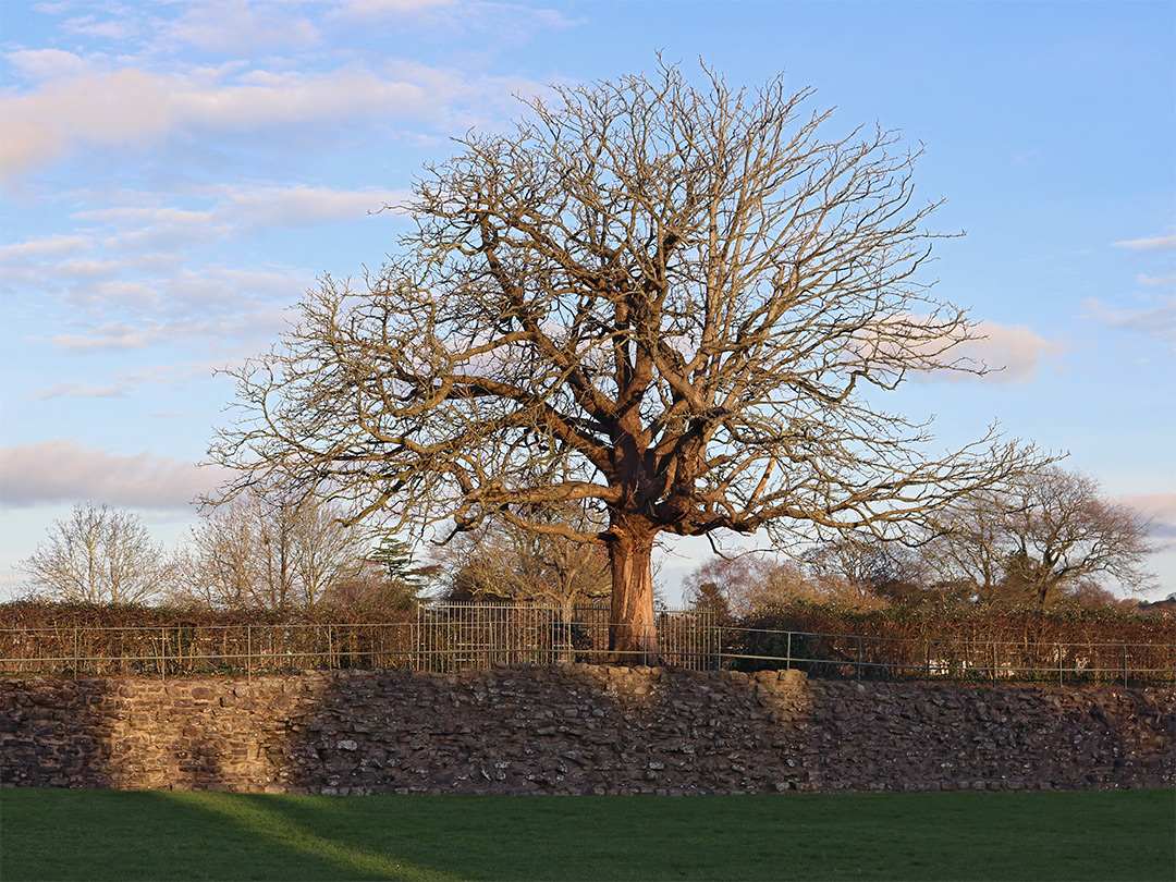 Roman wall