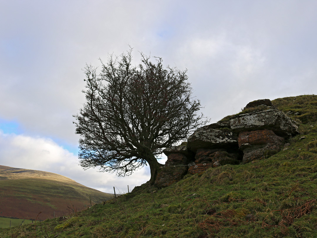 Rock outcrop