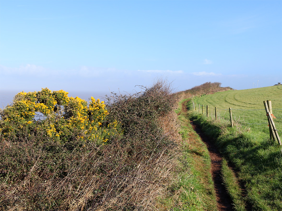 Coastal path