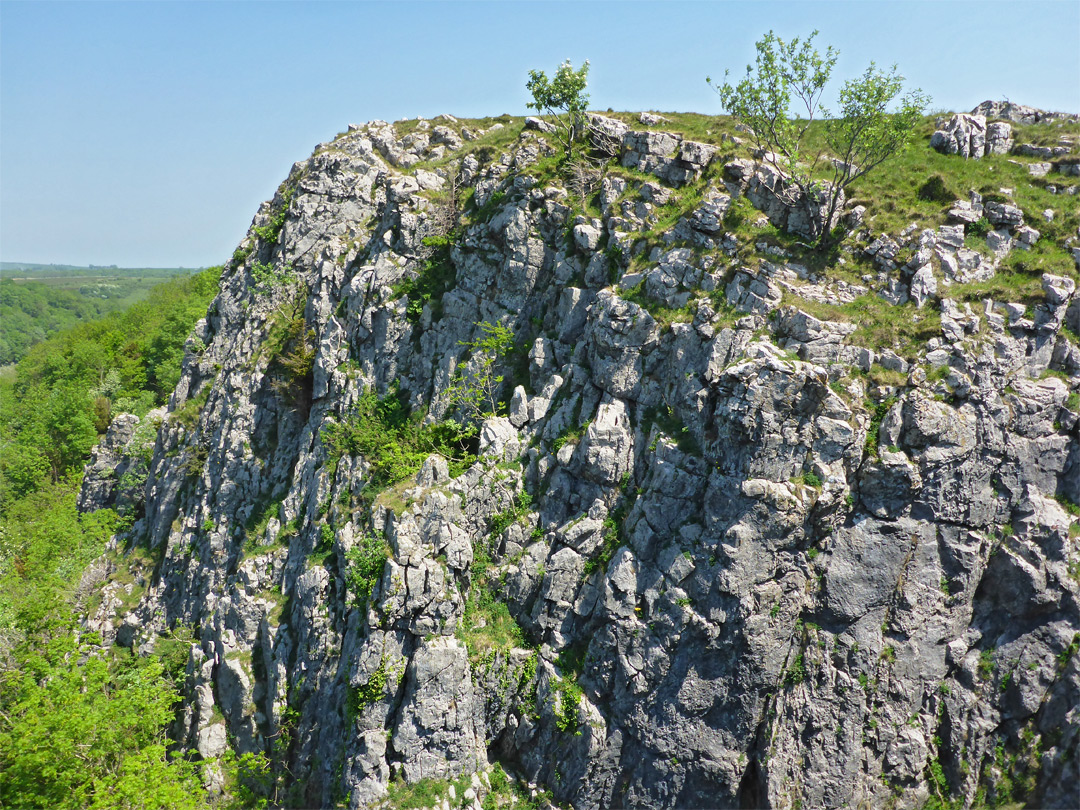 Cliff below the south rim