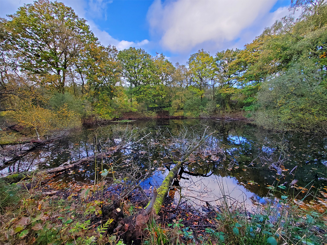 West side of the reservoir