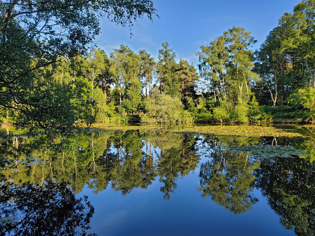 Calm water