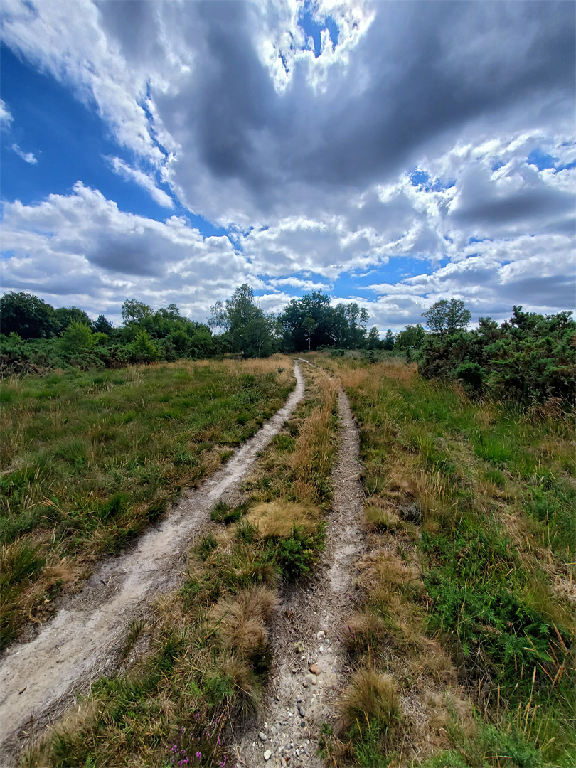 Vehicle track