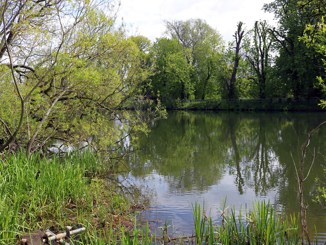 Calm water