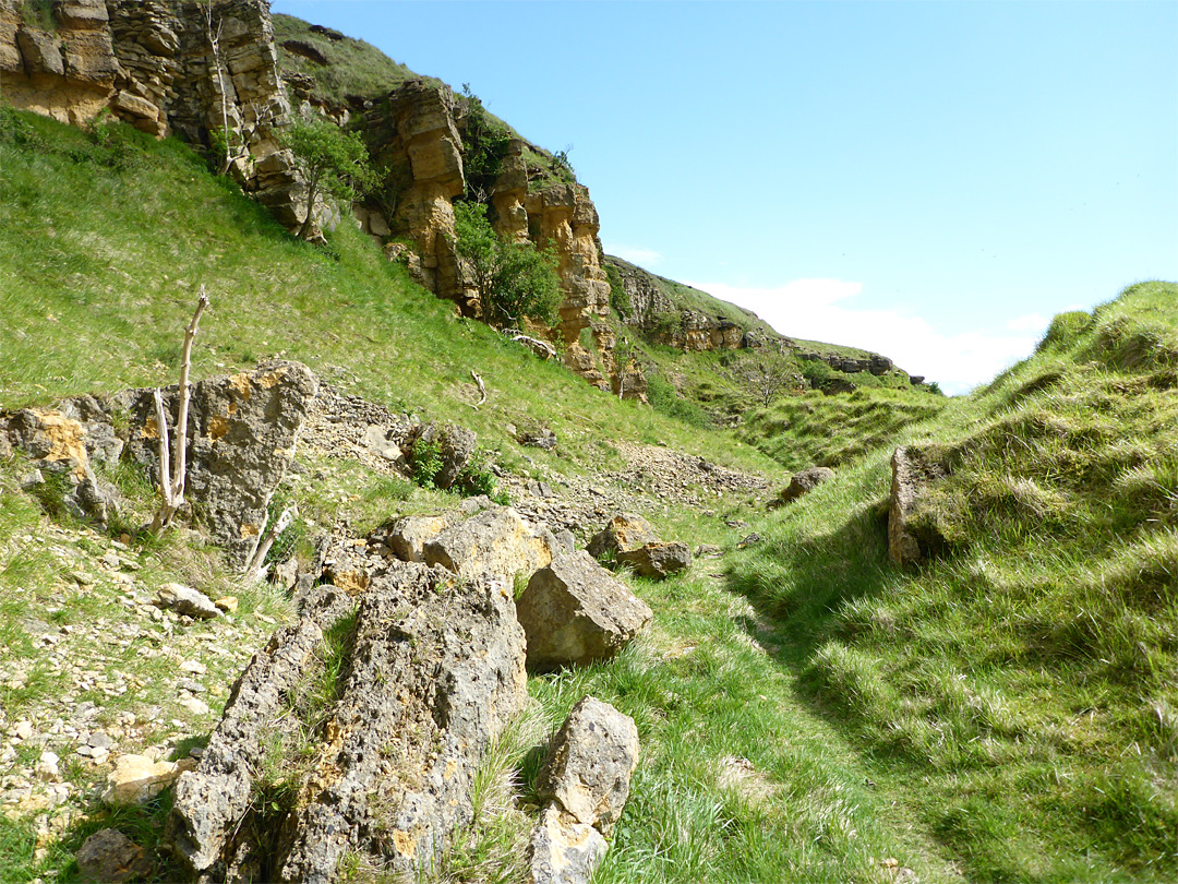 Grassy rocks