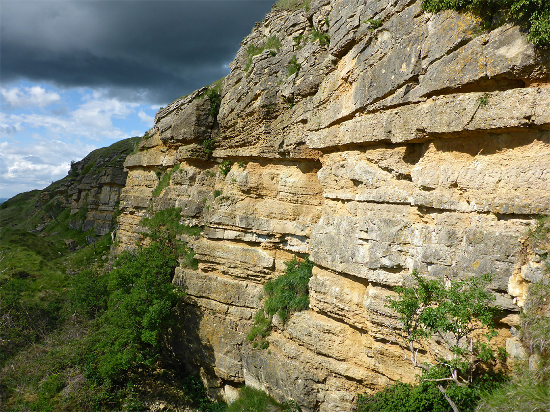 Layered cliff
