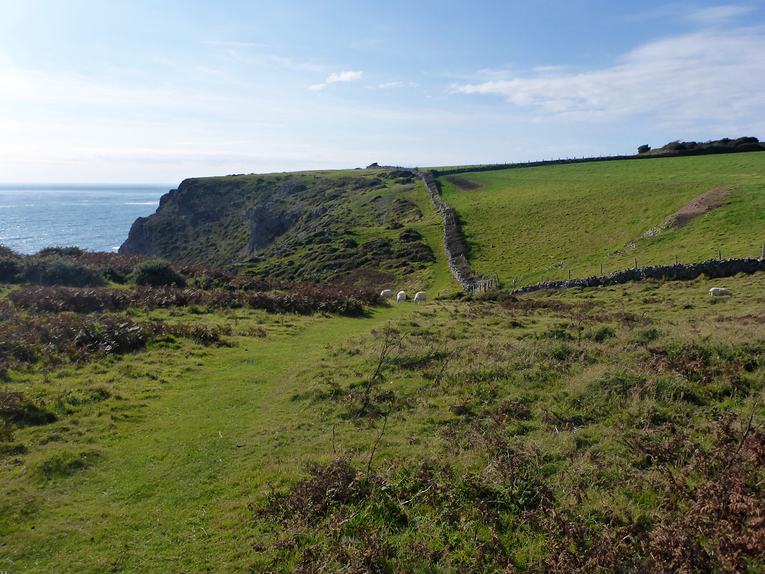 The coast path