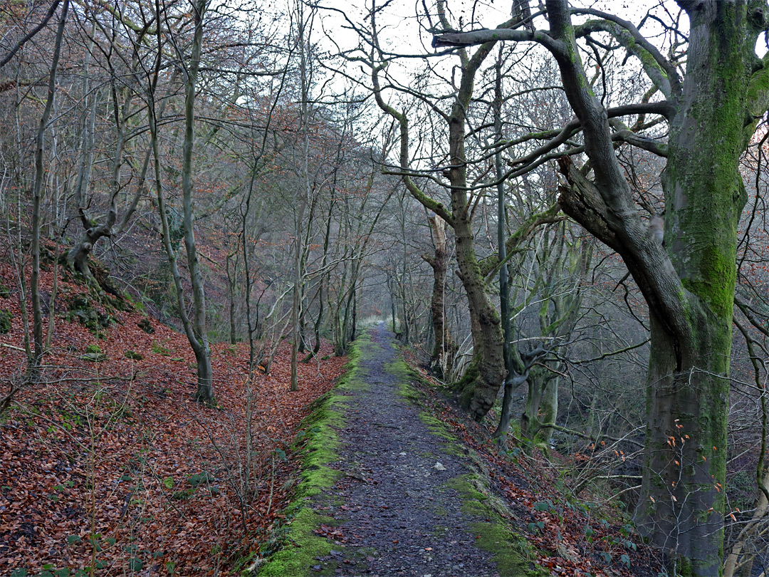 Old tramway