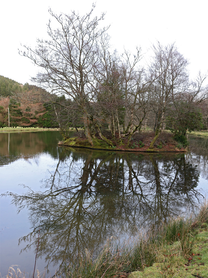 Pond