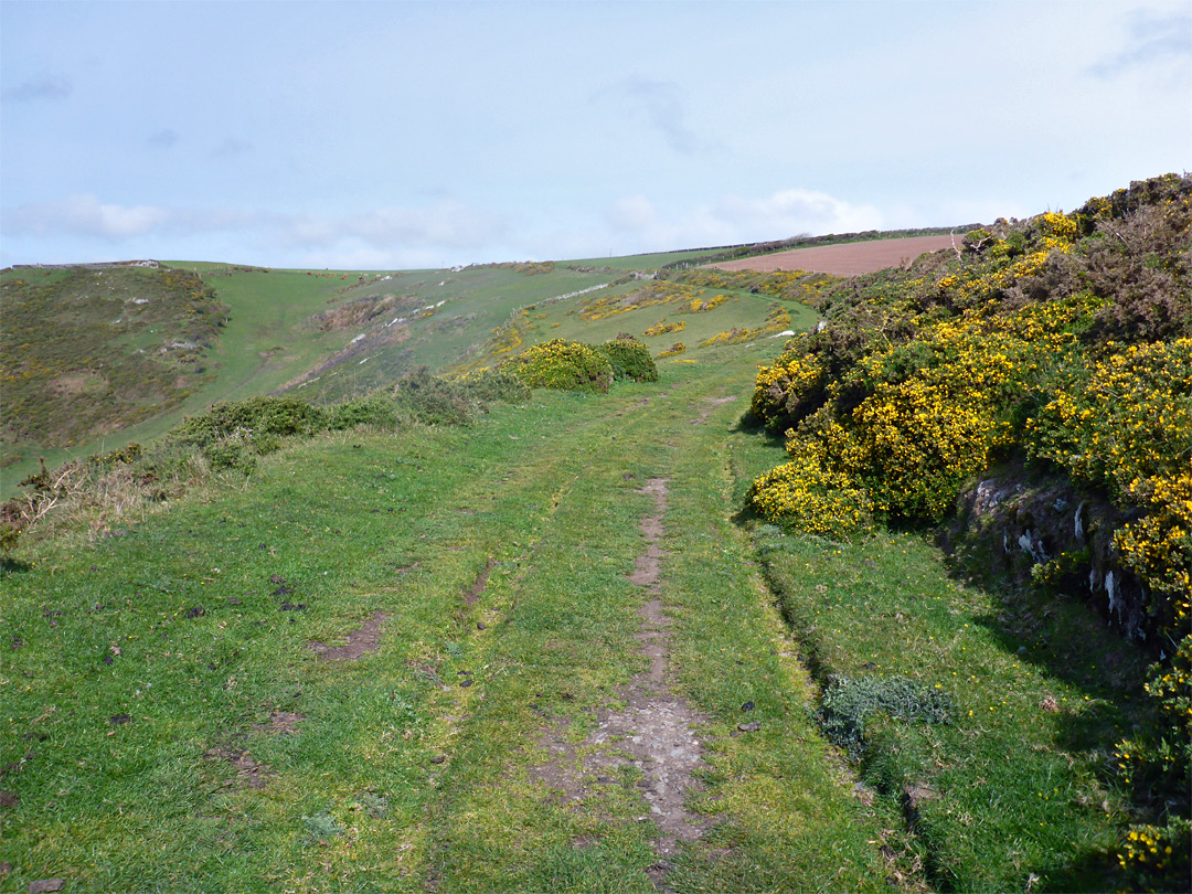 Path above East Holicombes