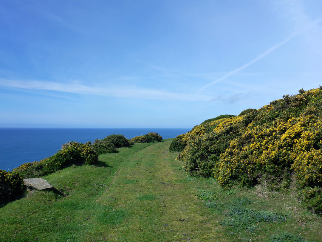 Path above Hilsea Point