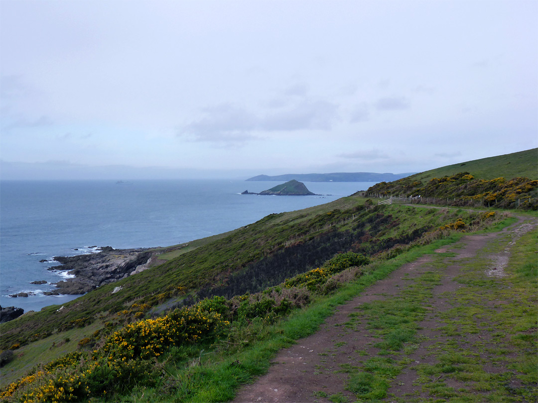 Path above Long Cove