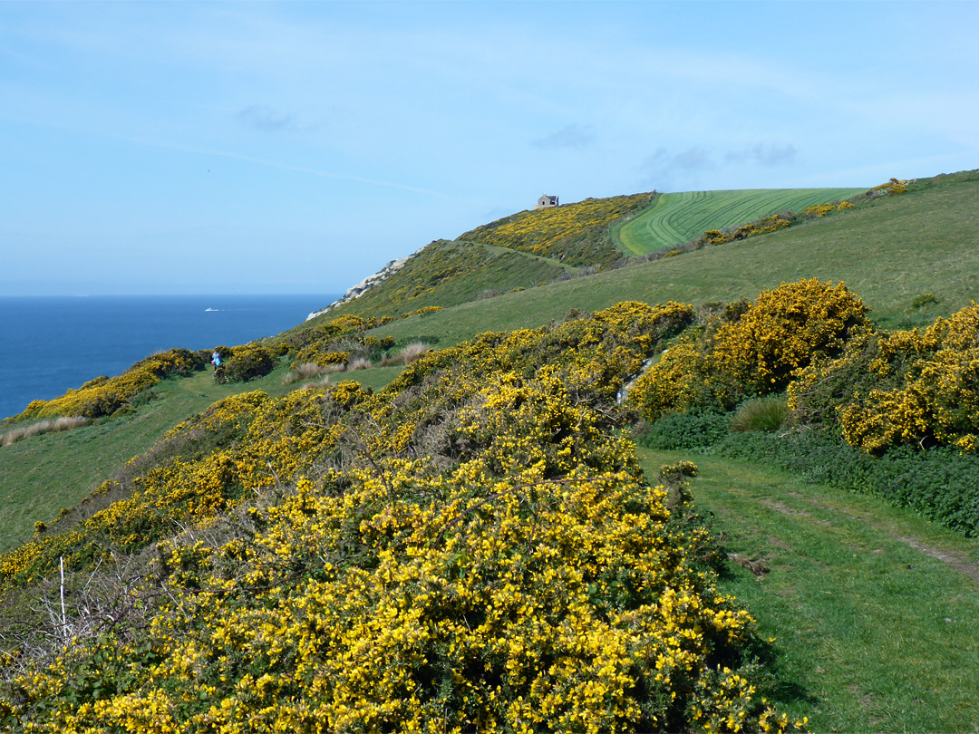 Path across Snellings Down