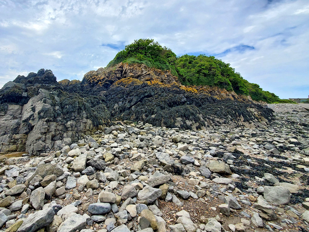 Cold Knap Point