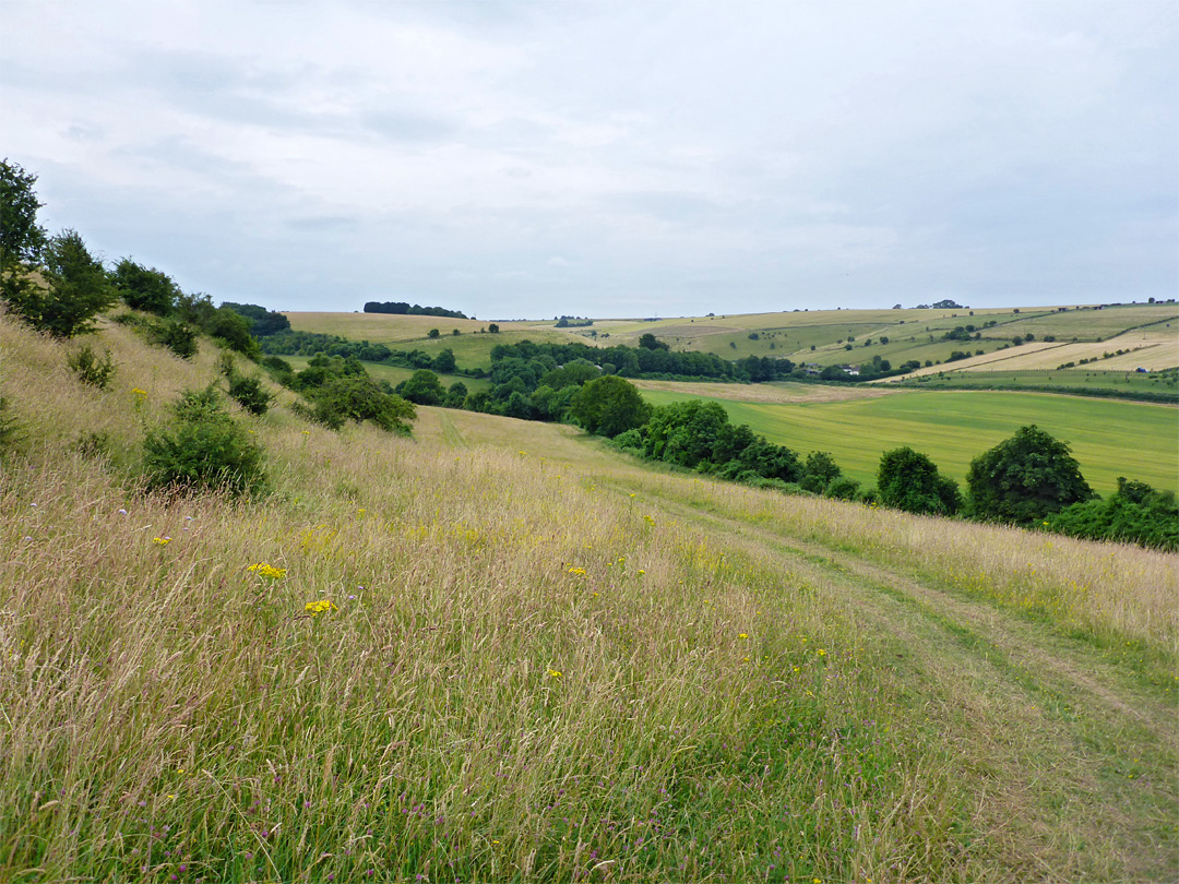 Sloping grassland