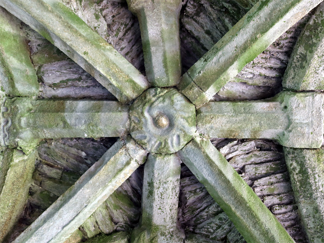 Rib vault