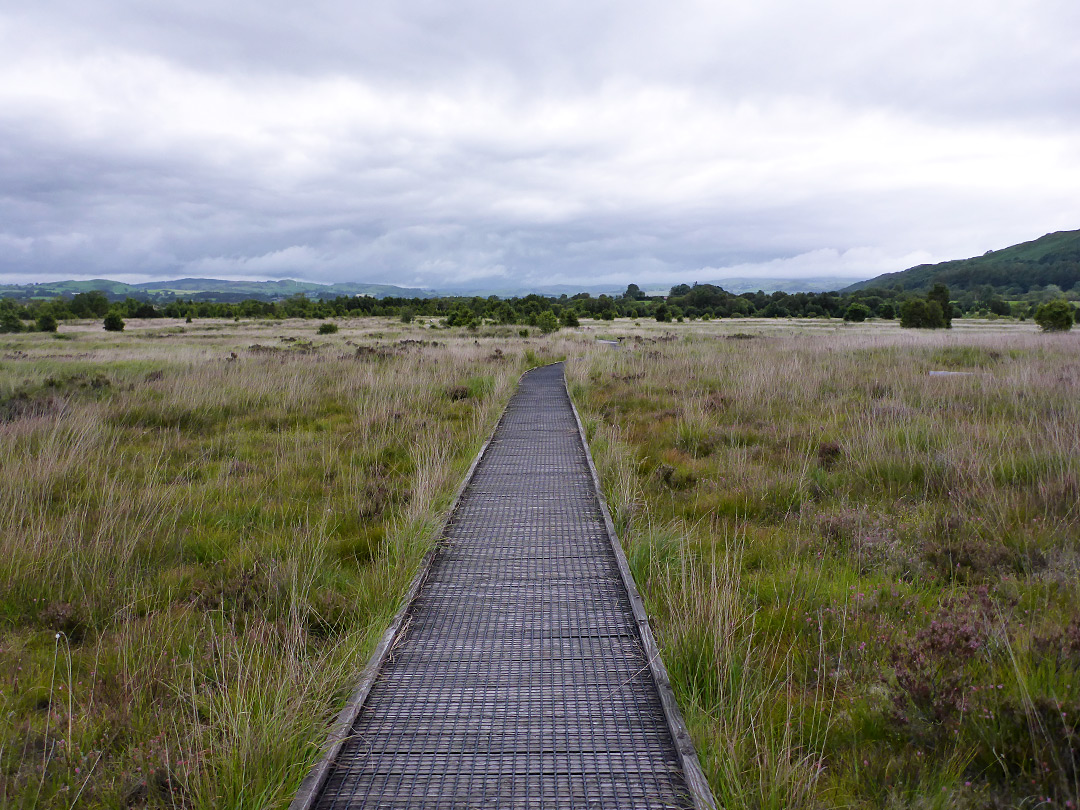 Boardwalk path