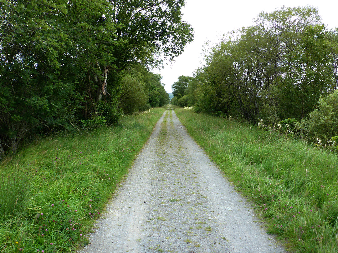 Old Railway Walk