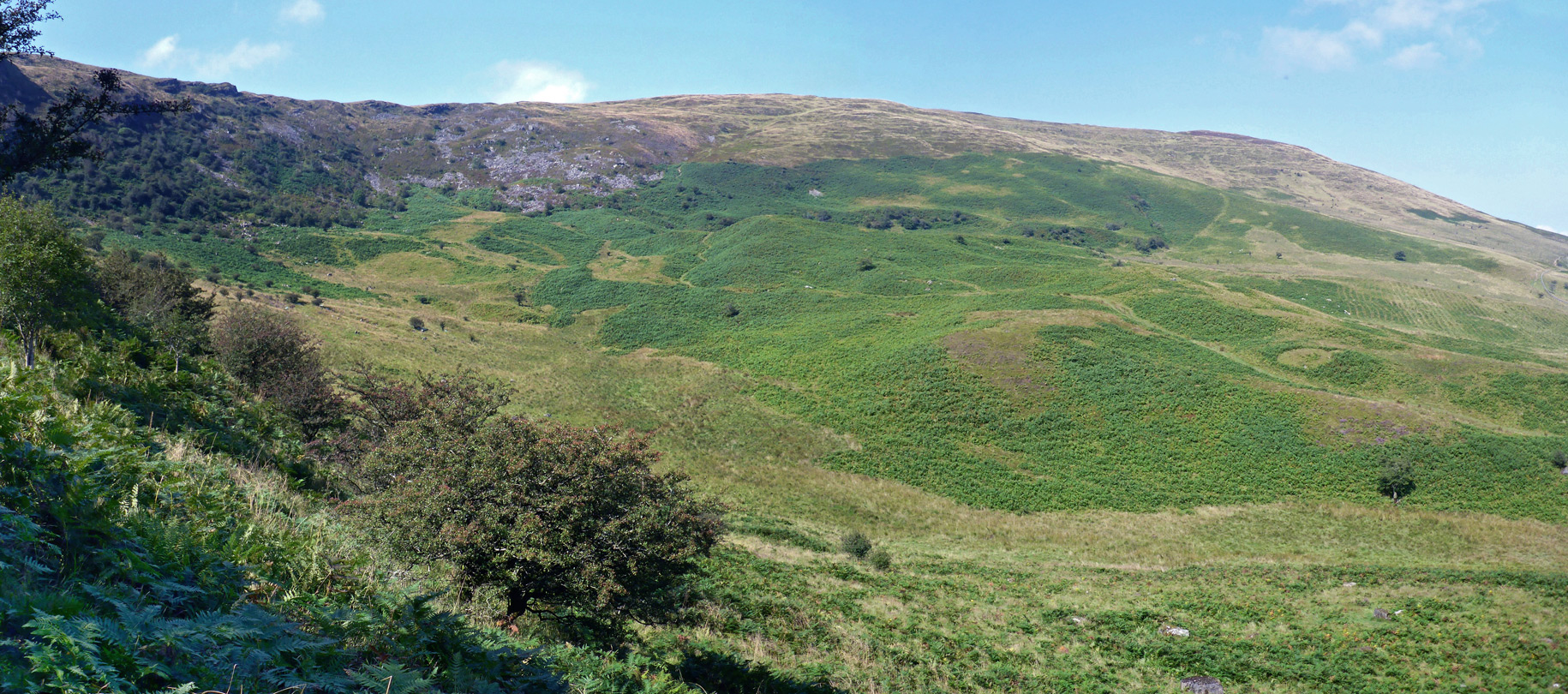 Undulating hillside