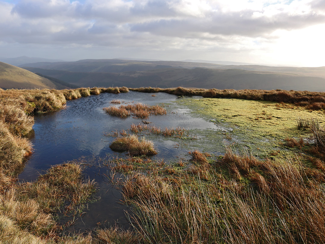 Pool on Craig y Fan Ddu