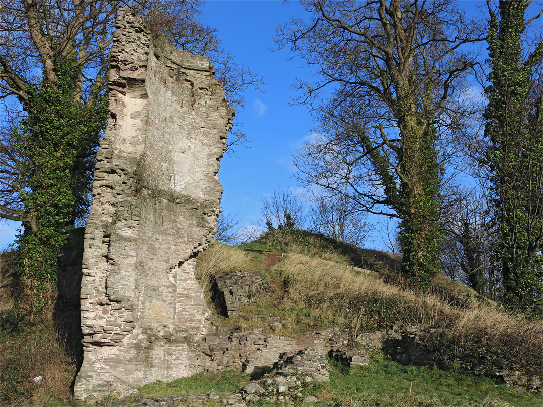 Tree-covered motte