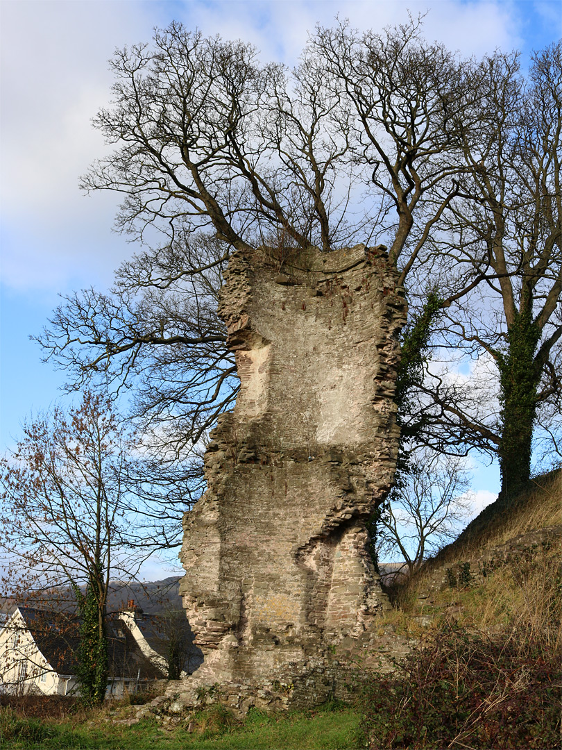 Tower and tree