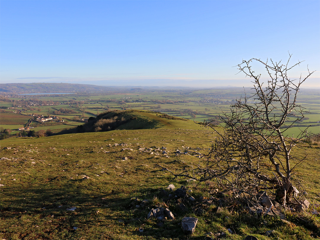 Cheddar Reservoir