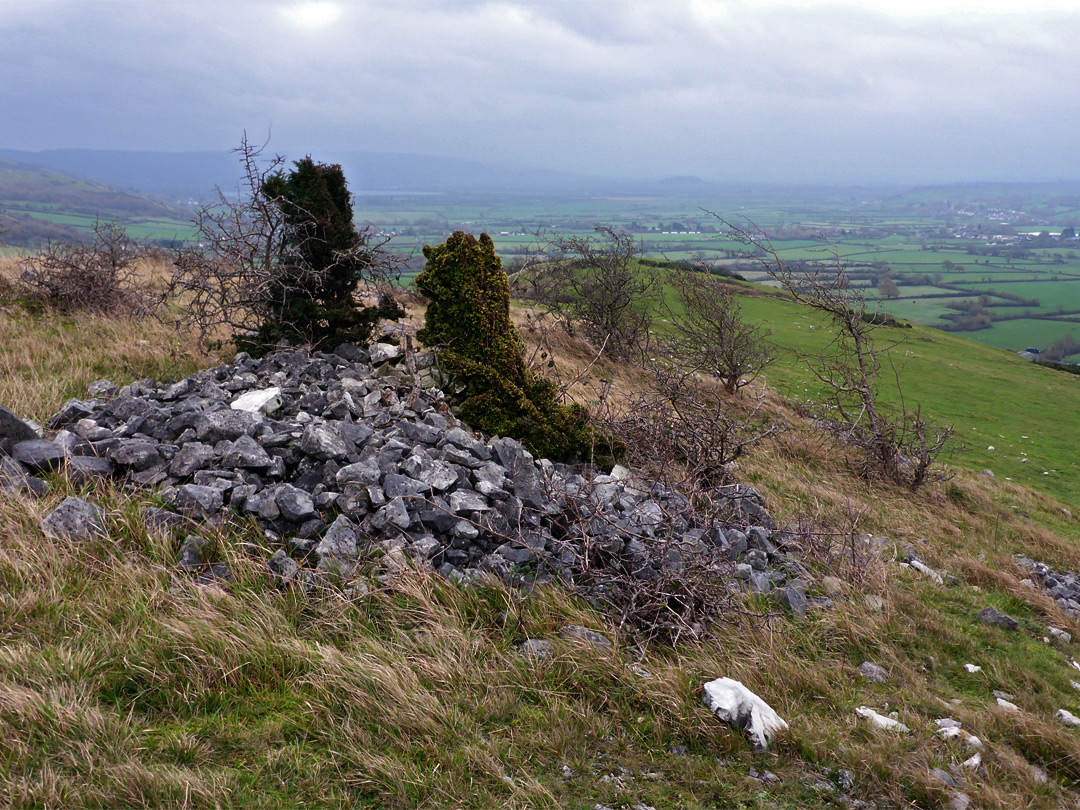 Bushes and boulders