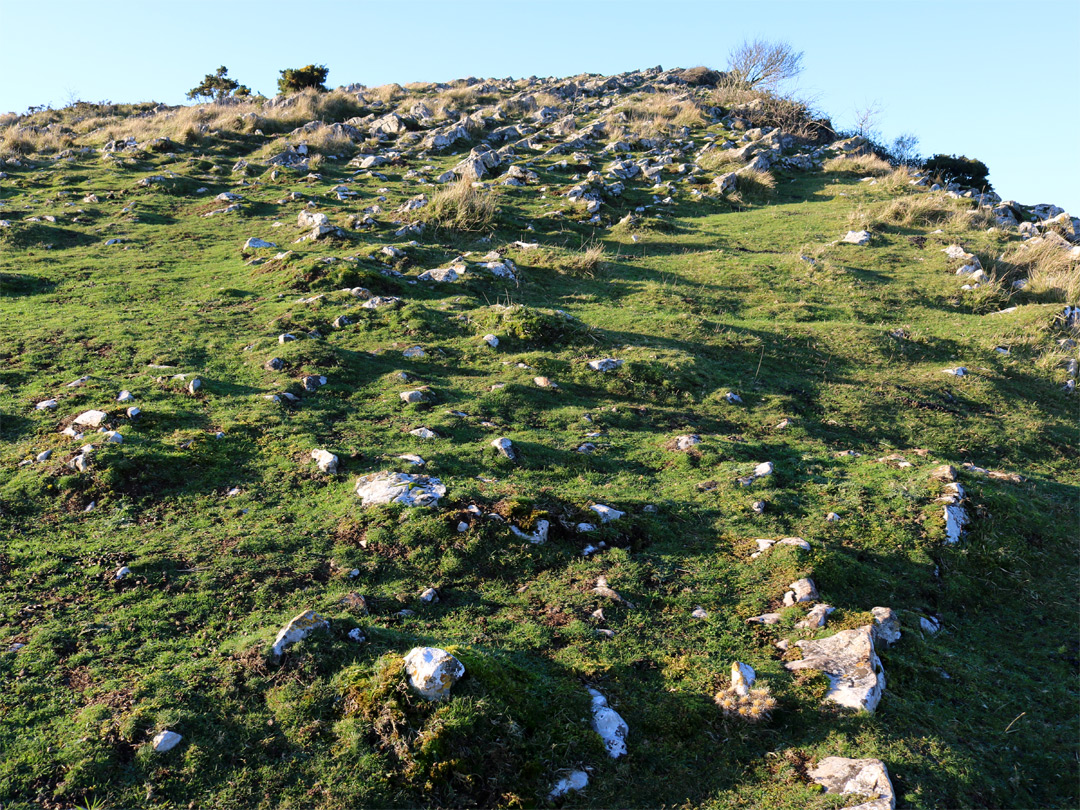 Grass and rocks