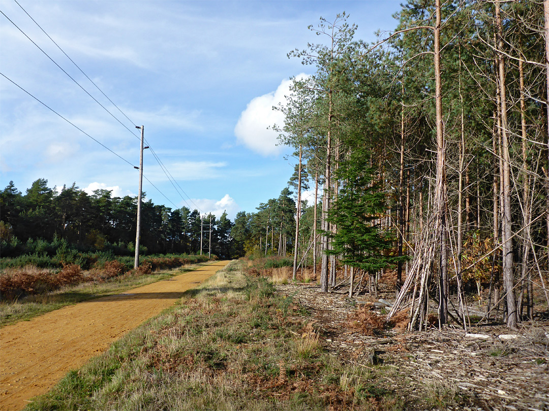 Track and pylons