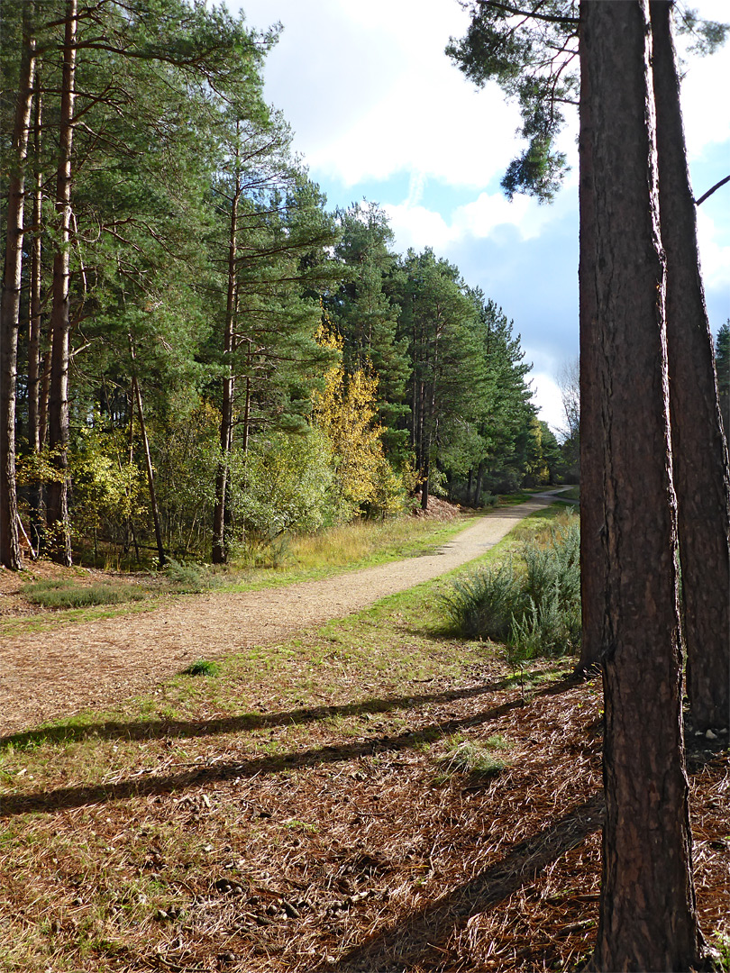 Sun on a track