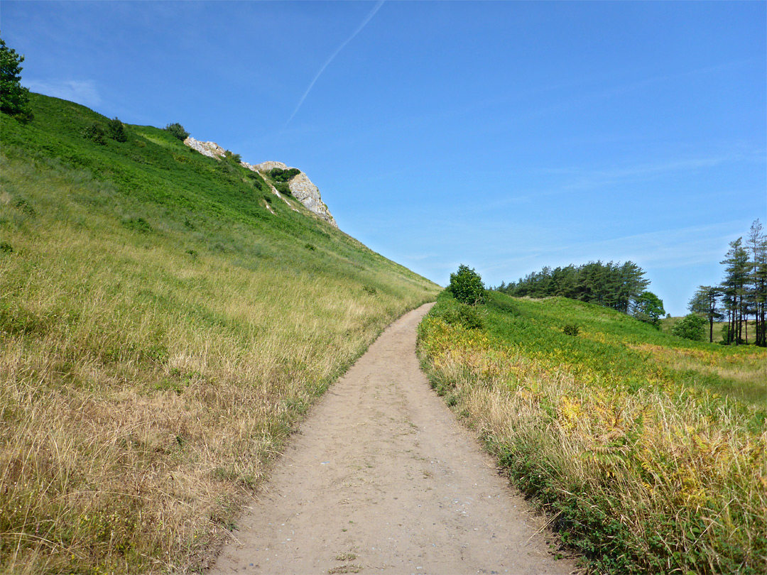 Path from Cwm Ivy