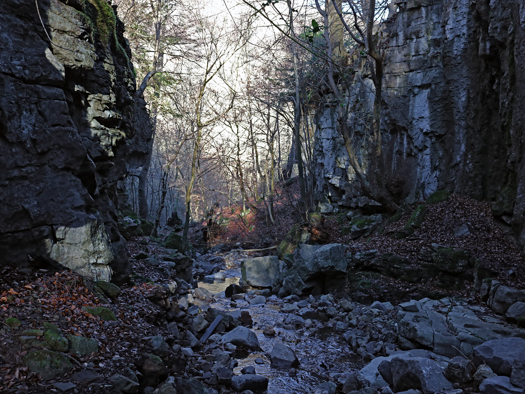 Dark gorge