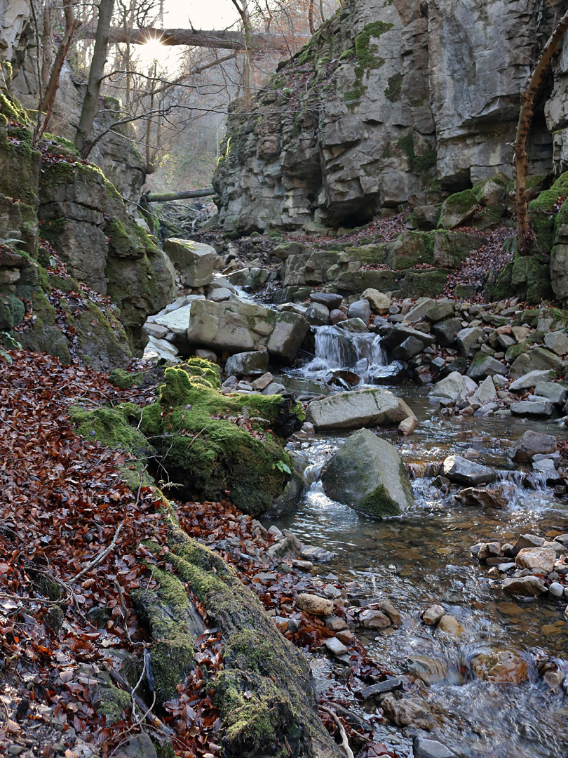 Stream and boulders