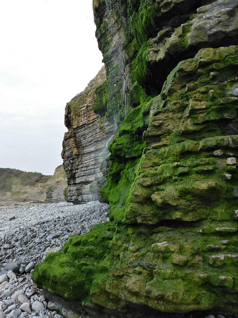 Cliff below Cwm Mawr