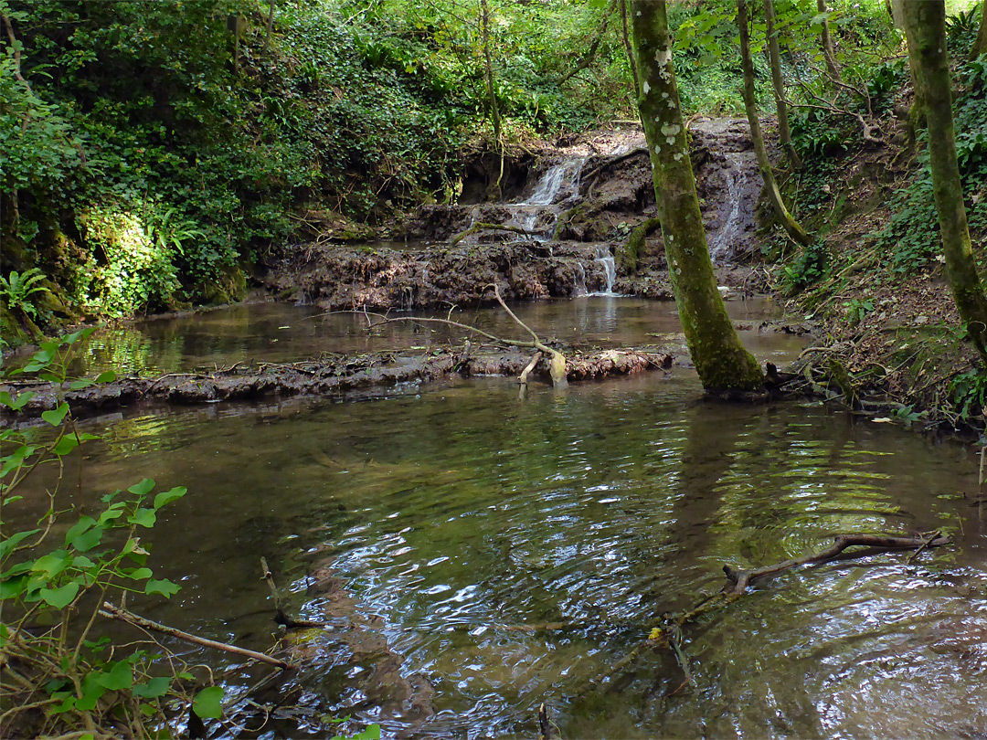 Pool and waterfall