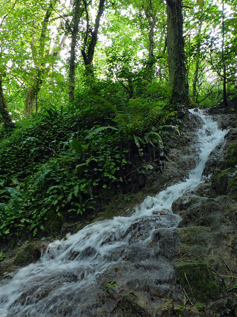 Tributary stream