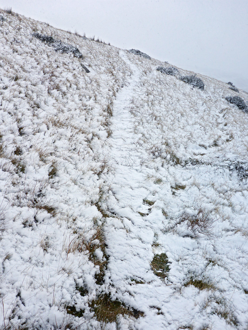 Snowy path