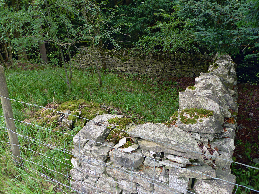 Old walls