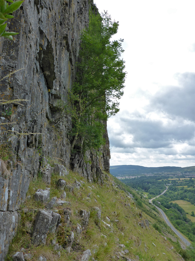 Vertical rock face