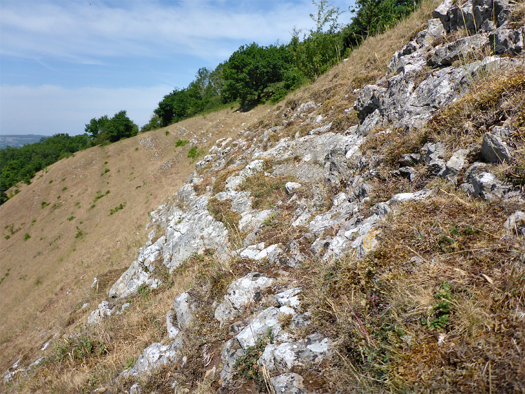 Limestone outcrop