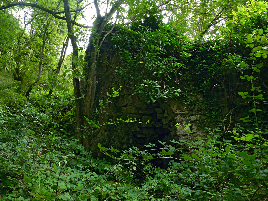 Overgrown limekiln