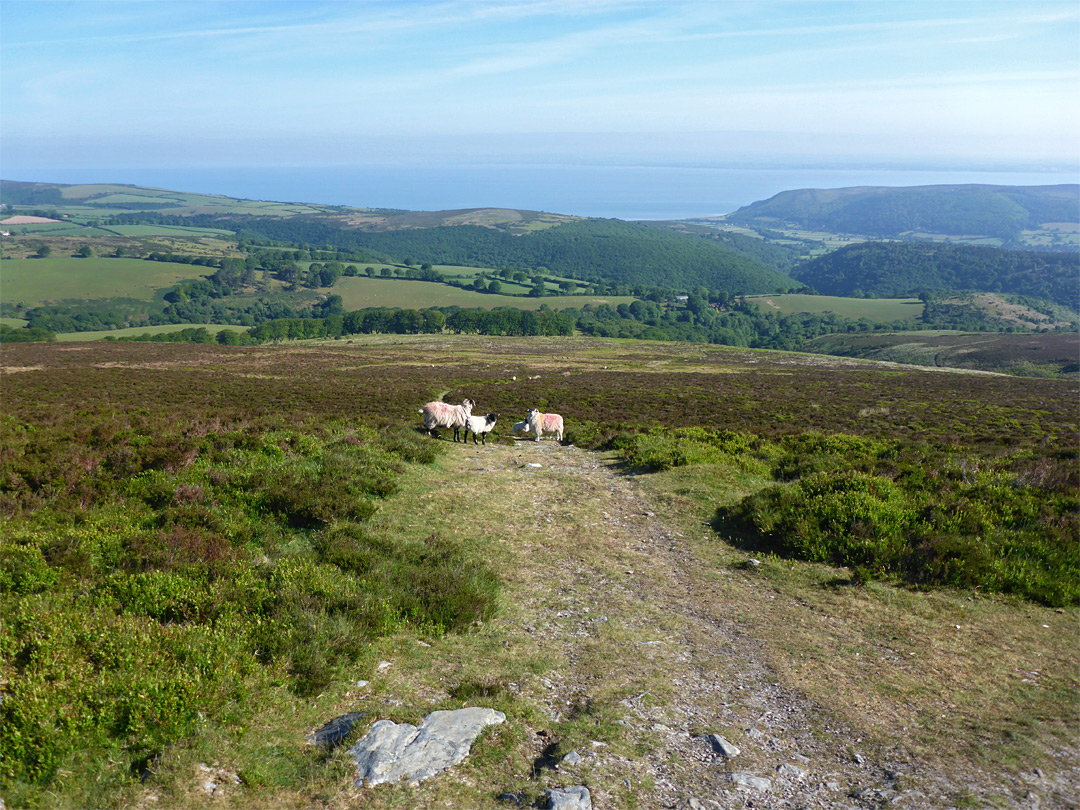 View north towards the sea