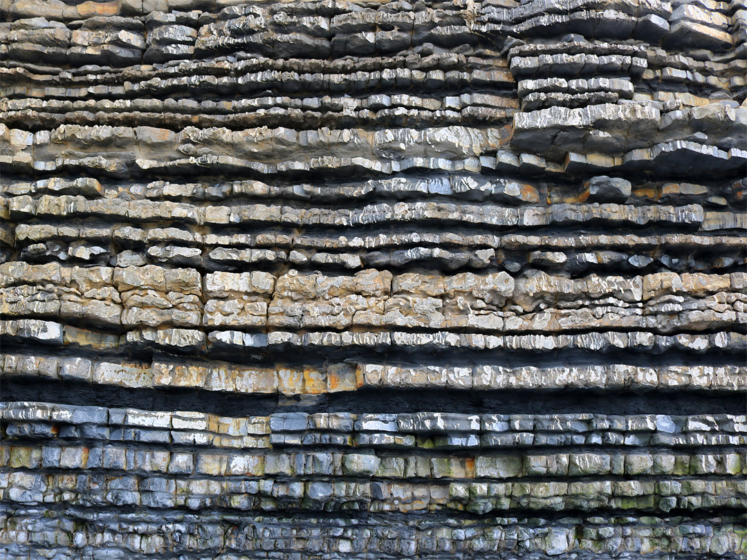 Thin limestone layers