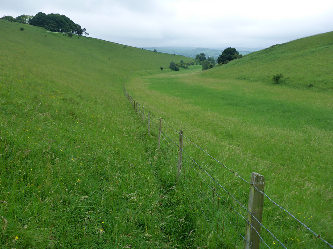 Fence on the valley floor