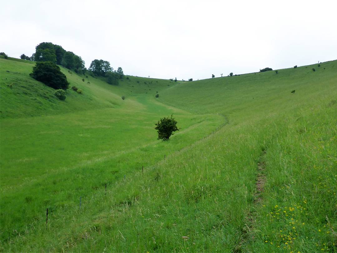 North end of the valley