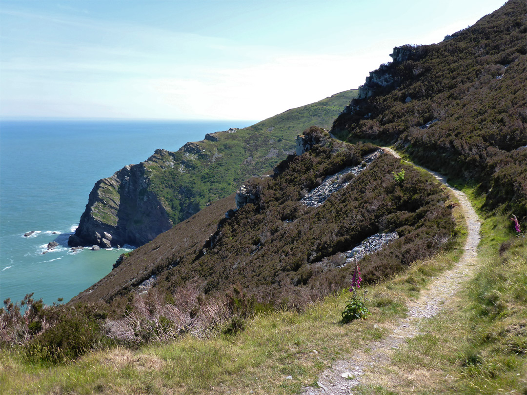 Heather-covered slope